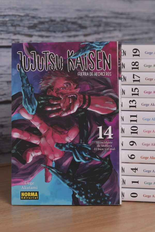MANGA | Jujutsu Kaisen, de Gege Akutami | Norma Editorial - immagine 11